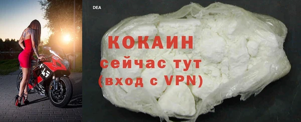 шишки Нея