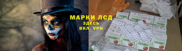 шишки Нея