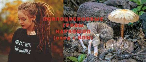 шишки Нея