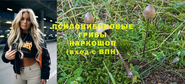 шишки Нея
