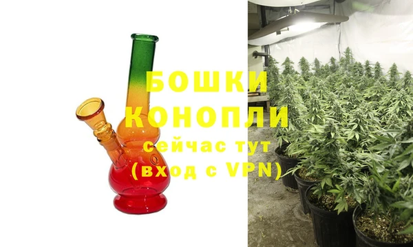 шишки Нея