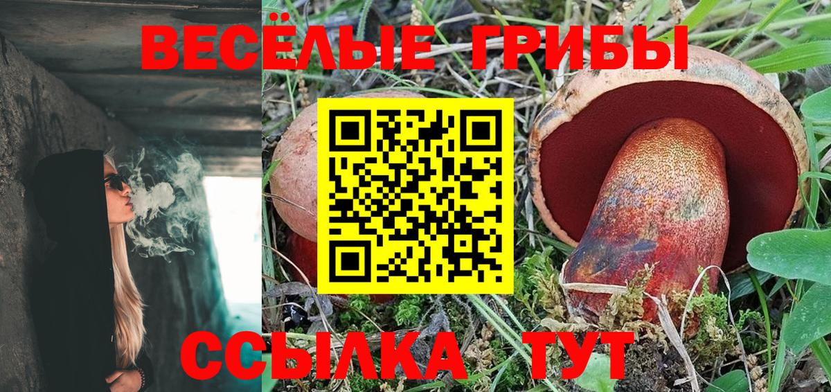 Краснокаменск  Галлюциногенные грибы Magic Shrooms  Вход с VPN 