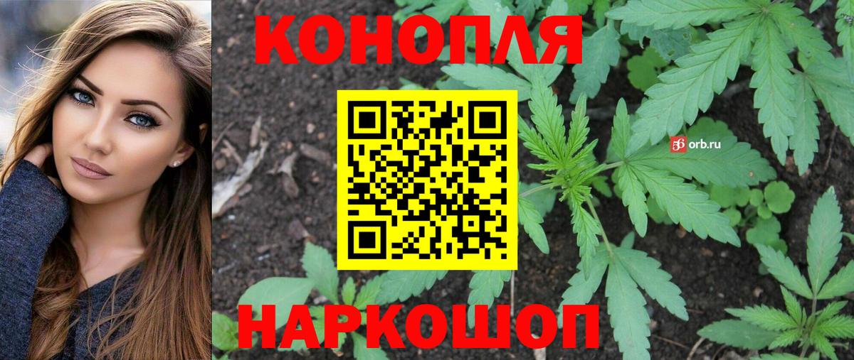 Каннабис OG Kush Краснокаменск